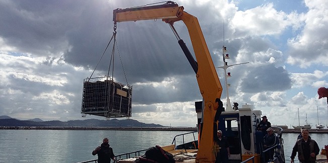 Πόντιση για παλαίωση στη θάλασσα του Ληξουρίου, του αρχαιότροπου κρασιού αμφορέα Ραψωδία!