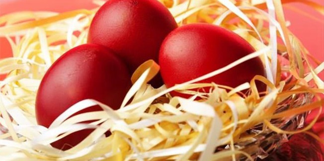 Ναυτίλος, Απριλίου 2016