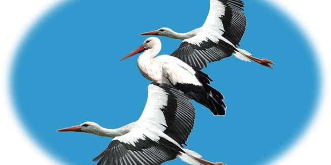 Ραδιοφ. Εκπομπή για παιδιά – Ημέρα παιδικού βιβλίου