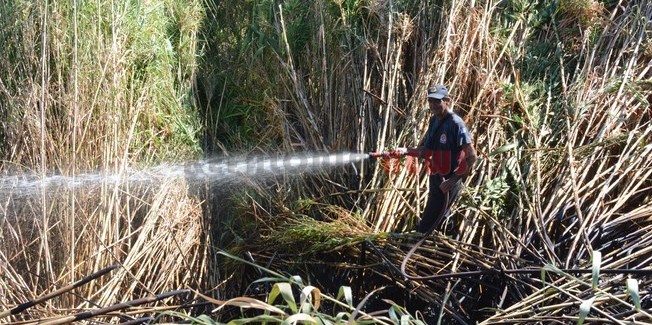 Πυρκαγιά μικρής έκτασης στη Κουνόπετρα