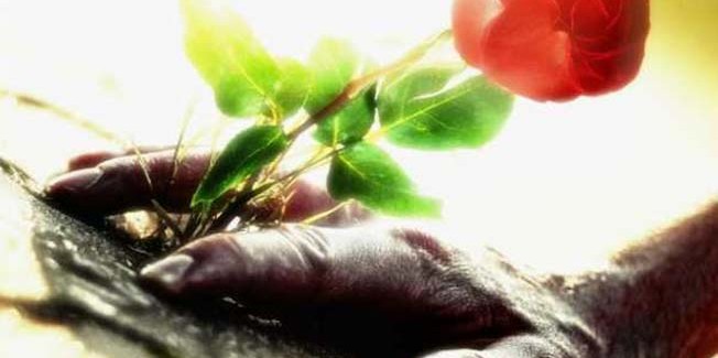 […] Και ο δόλος ενίοτε κρύβει συμφέροντα!!! Είτε δικά, είτε αλλότρια!!