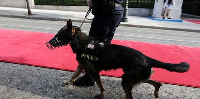 Κάγκελα παντού….