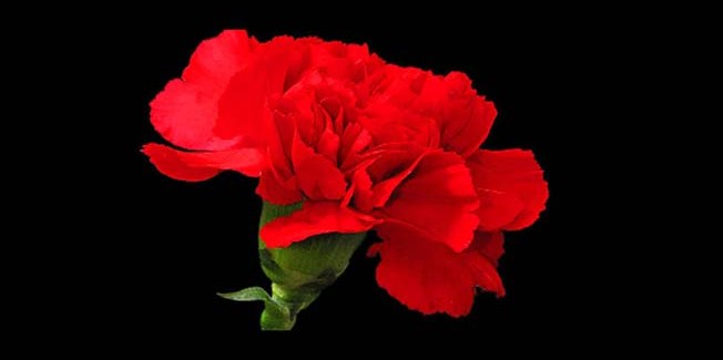 Στη μνήμη του Διονύση Γερολυμάτου….