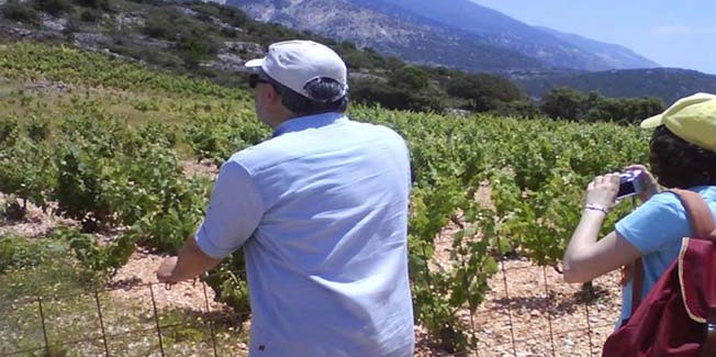 Εγκατάσταση Σεισμολογικού Array στη Γεωργική Σχολή.