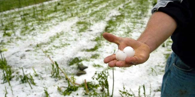 Ε.Α.Σ.: Παράταση στις αιτήσεις επιδότησης για αντιχαλαζικά.