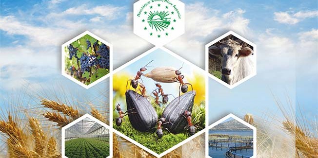 Ε.Α.Σ. :  2η  πρόσκληση  ντόπιων Νέων Αγροτών.