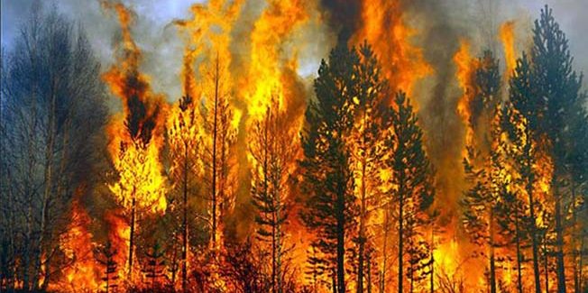 Οι πυρκαγιές έκαψαν και την πολιτική και την ενημέρωση..
