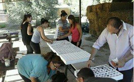 Πρακτική Άσκηση Νέων Αγροτών