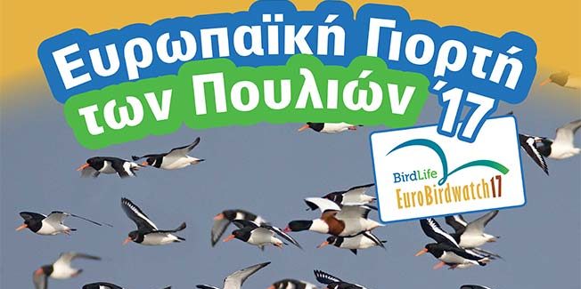 Φορέας του Αίνου: Ευρωπαϊκή Γιορτή των Πουλιών ΄17