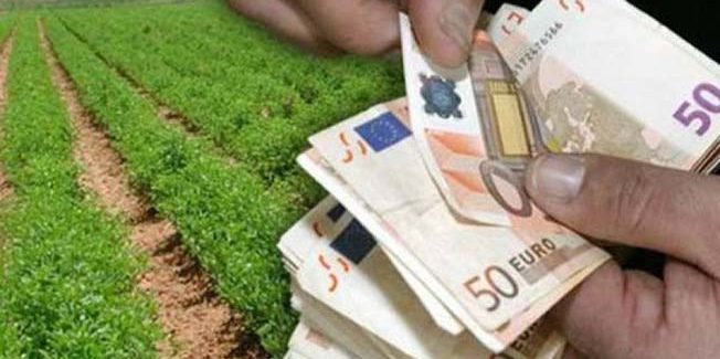 Ε.Α.Σ.:  «Κουτσουρεμένη» η φετινή βασική αγροτική επιδότηση.