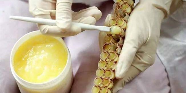 Ε.Α.Σ. : Νέοι  κανόνες  για  τον  Βασιλικό  Πολτό