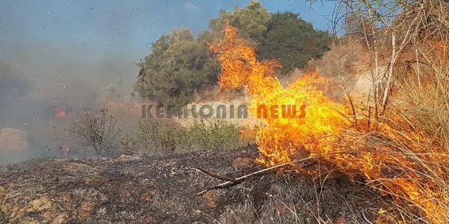 Ξέσπασε πυρκαγιά στην Λαγκαδά Χαβριατων