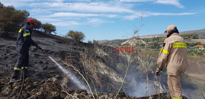 Εκδηλώθηκε πυρκαγιά στην Κουνόπετρα