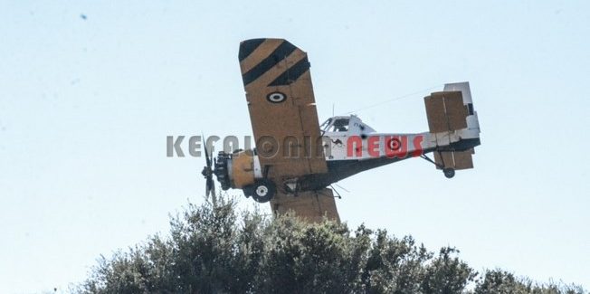 Πυρκαγιά σημειώθηκε σε δασική περιοχή στην Παλική