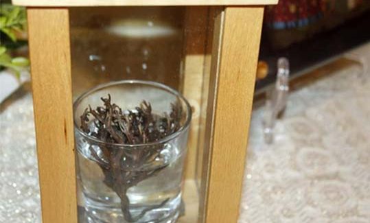 Το Εκκλησιαστικό Συμβούλιο  ευχαριστεί