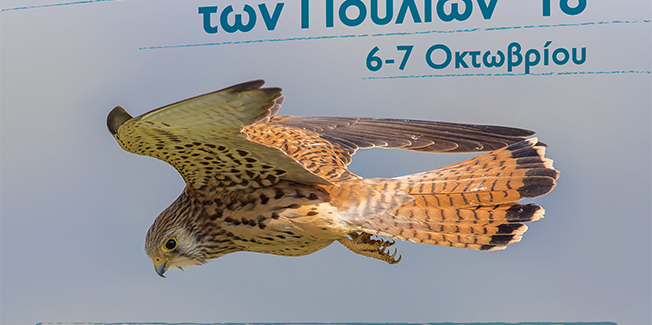 Ευρωπαϊκή Γιορτή των Πουλιών (EuroΒirdwatch