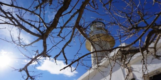Οι πρώτες εικόνες στην φύση