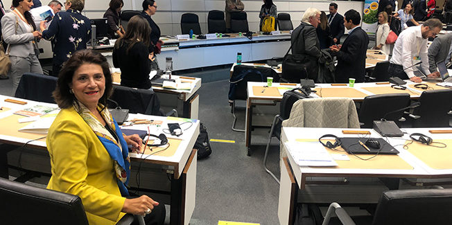 Ουσιαστική παρέμβαση της Ρόδης Κράτσα στο συνέδριο της CRPM, στις  Βρυξέλλες για την «πράσινη και γαλάζια οικονομία»