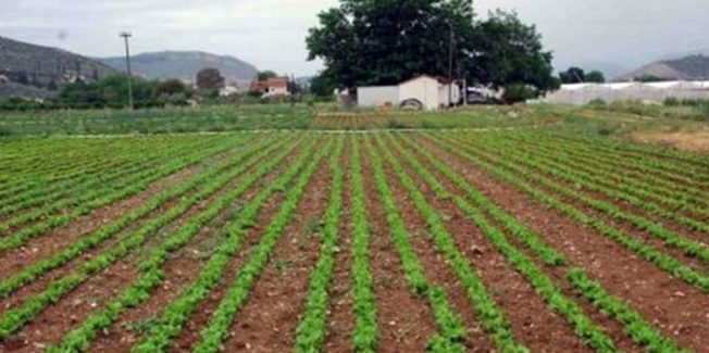 Μια απάντηση από την Πρακτική Γεωργική Σχολή.