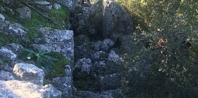 ΑΡΧΑΙΑ ΚΡΑΝΗ 2500- 3000 χρόνια μετά .