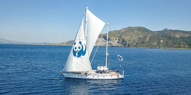 Η Σημασία και η Προστασία του θαλάσσιου περιβάλλοντος – Ιόνιο πέλαγος