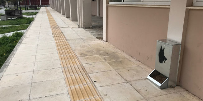 Σχεδιασμός  προγράμματος σίτισης των αδέσποτων ζώων.