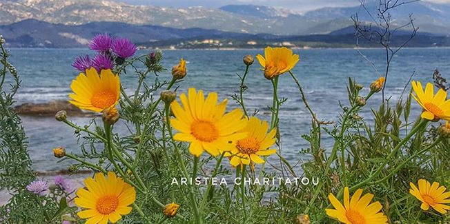 Αποσυντονίστηκε και ο καιρός εν καιρώ Πανδημίας!