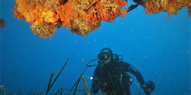 Αυτόνομη Κατάδυση “SCUBA Diving”  Εκπαίδευση αυτοδυτών