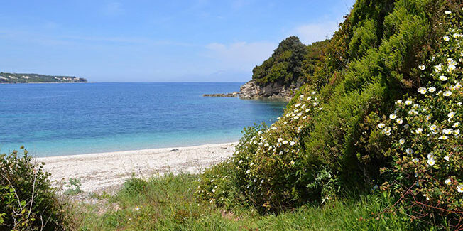 Ενημέρωση για τις εξελίξεις του θέματος Ερημίτη στην Κέρκυρα.