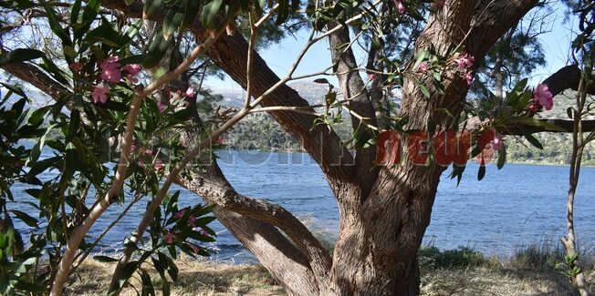 Ανοικτή επιστολή προς τον Γιάννη Βαρούχα για τον Κούταβο και τον  δημόσιο λόγο