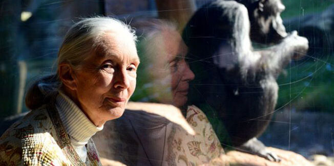 Τζέιν Γκούντολ: Είμαστε τελειωμένοι εάν δεν αλλάξουμε μετά τον κορονοϊό