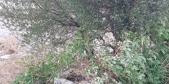 Προς τις Αρχές του τόπου μας…..