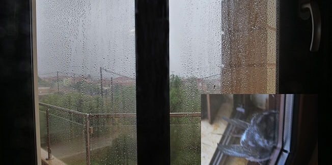 Από το παράθυρό μου βλέπω…