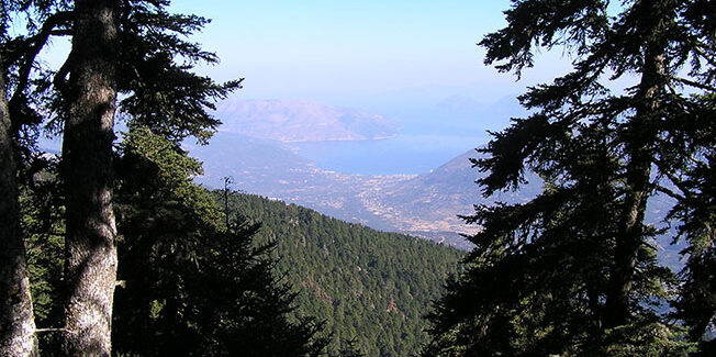 Απαγόρευση κυκλοφορίας οχημάτων και εκδρομέων στον Εθνικό Δρυμό Αίνου