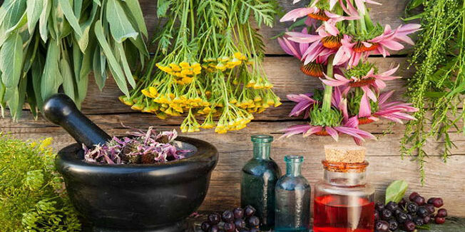 Διαδικτυακή ημερίδα για τα αρωματικά φυτά….