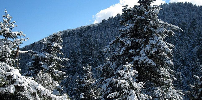 Ο Μάκης Δαναλάτος μας εύχεται Καλή Χρονιά.