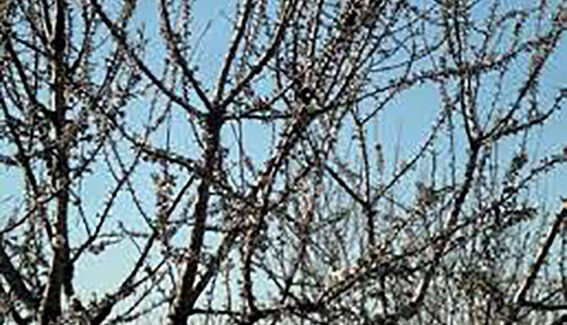 Τώρα που το πέπλο του φόβου απλώθηκε πάνω από τα νησιά μας …