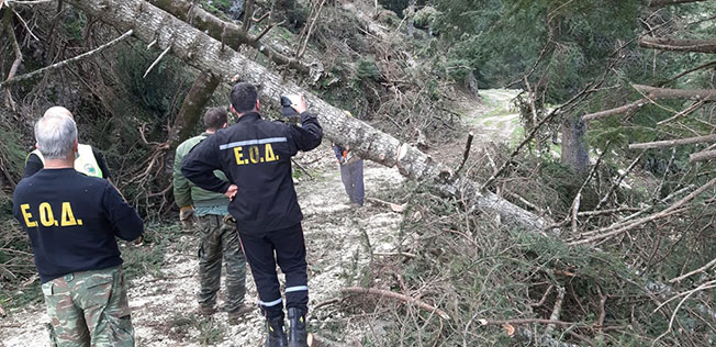 Ευχαριστίες στην Εθελοντική Ομάδα Δασοπυρόσβεσης Κεφαλονιάς