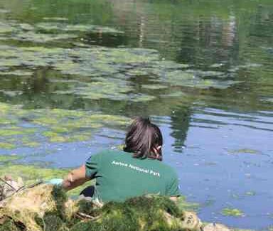 Για τον εορτασμό της Παγκόσμιας Ημέρας Περιβάλλοντος
