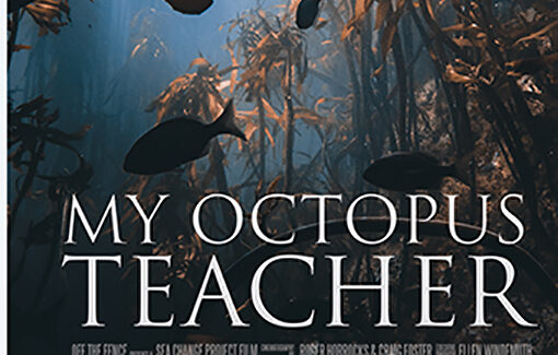 Κινηματογραφική Λέσχη Ληξουρίου