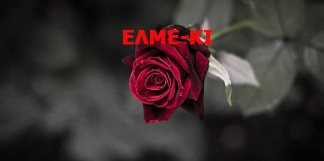 Το ΔΣ της ΕΛΜΕ ΚΙ εκφράζει τα θερμά του συλλυπητήρια