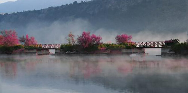 Το (α)πολιτιστικό καλοκαίρι, ο Φάρος και το κόμμα για τα ζώα.