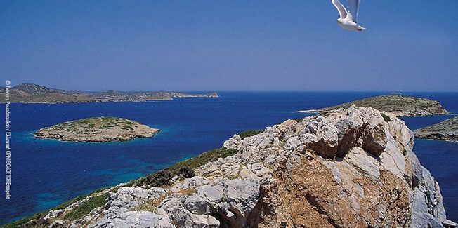 Το χρονικό μιας κοινής προσπάθειας για τη διαφύλαξη των  τελευταίων καταφυγίων βιοποικιλότητας της Ευρώπης