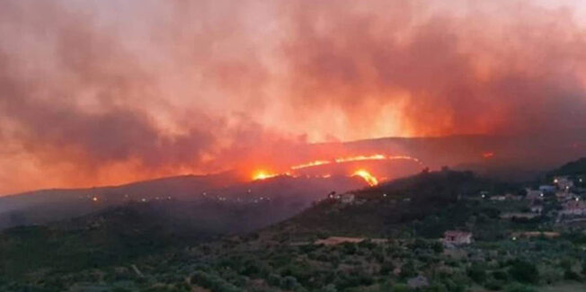 Υπό πλήρη έλεγχο η φωτιά – 10.000 στρέμματα δάσους και ελαιώνα έγιναν στάχτη