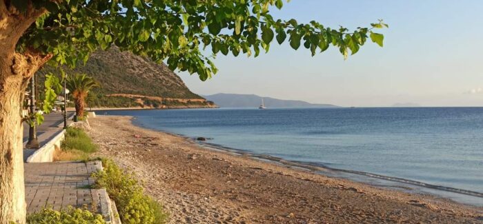 Ο Πόρος ξανά στο Μεσημεριανό Δελτίο Ειδήσεων του ΣΚΑΪ TV!