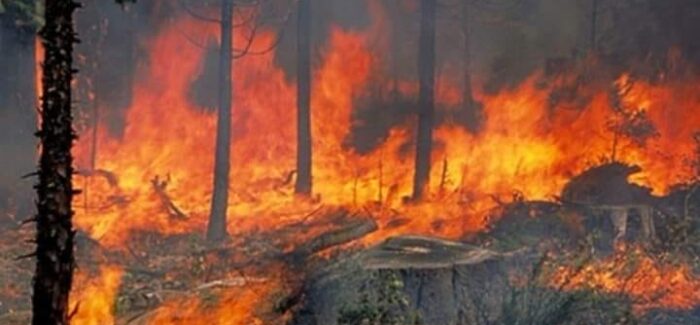 Ευθ. Λέκκας: Ποτέ ξανά δεν θα γίνουν δάση 300.000 στρ στην Εύβοια