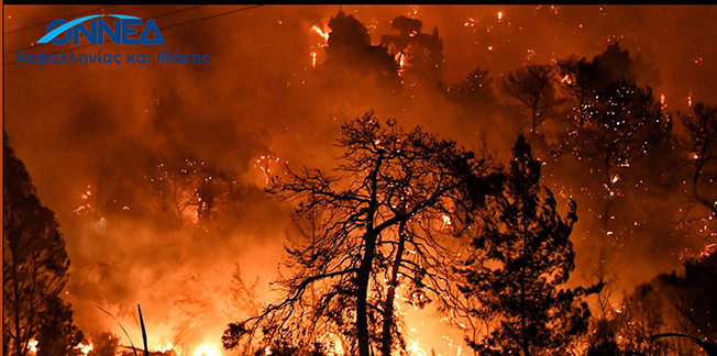 ΣΥΓΚΕΝΤΡΩΣΗ ΕΙΔΩΝ ΠΡΩΤΗΣ ΑΝΑΓΚΗΣ ΠΥΡΟΠΛΗΚΤΩΝ