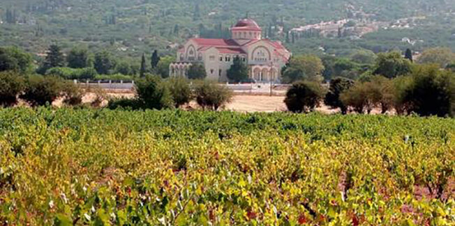 Το νέο video του Συνεταιρισμού Ρομπόλας