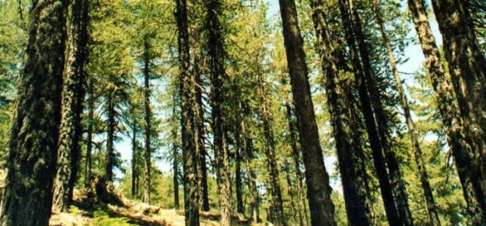 Γεωπάρκο Κεφαλονιάς & Ιθάκης και Γεώτοπος ‘’Καταβόθρες –  Καραβόμυλος – Άκολη’’