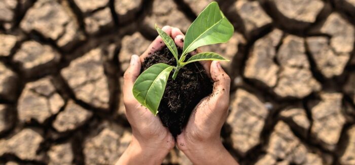 Οι Συνέπειες Της Κλιματικής Αλλαγής Στην Ελλάδα